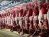 تولید گوشت قرمز