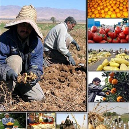 تضمین خرید محصولات کشاورزی