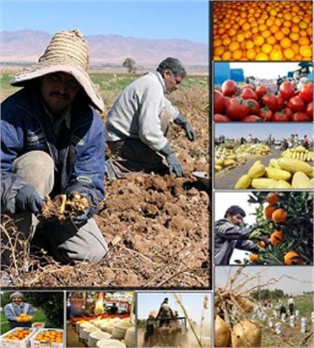تضمین خرید محصولات کشاورزی