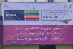 آگروفود
