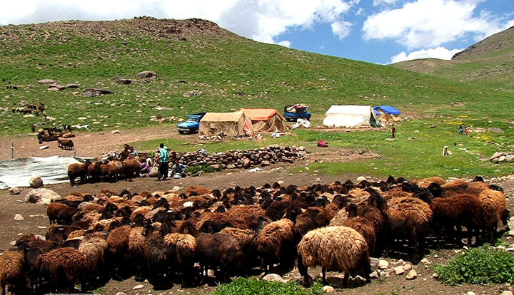 جهش تولید گوشت ایرانی با امضای روستائیان؛ خودکفایی محقق میشود؟
