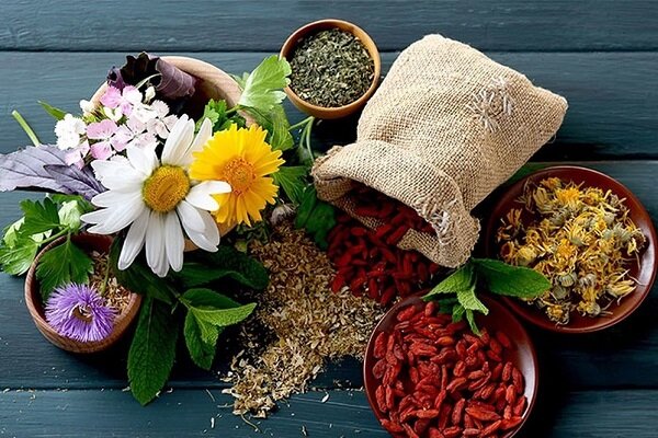 نگین ارغوانی اشکورات در معرض تهدیدات پنهان؛ استانداردسازی ضرورت دارد